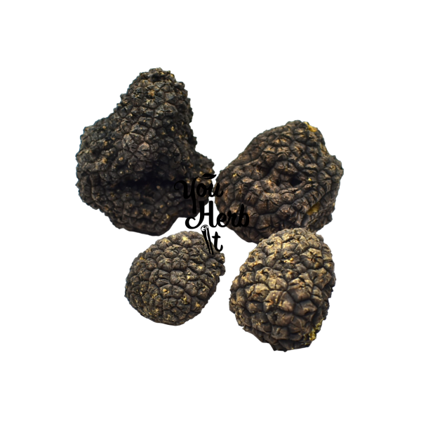 Greek Fresh Whole Black Truffles